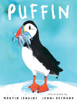 cover image of Puffin